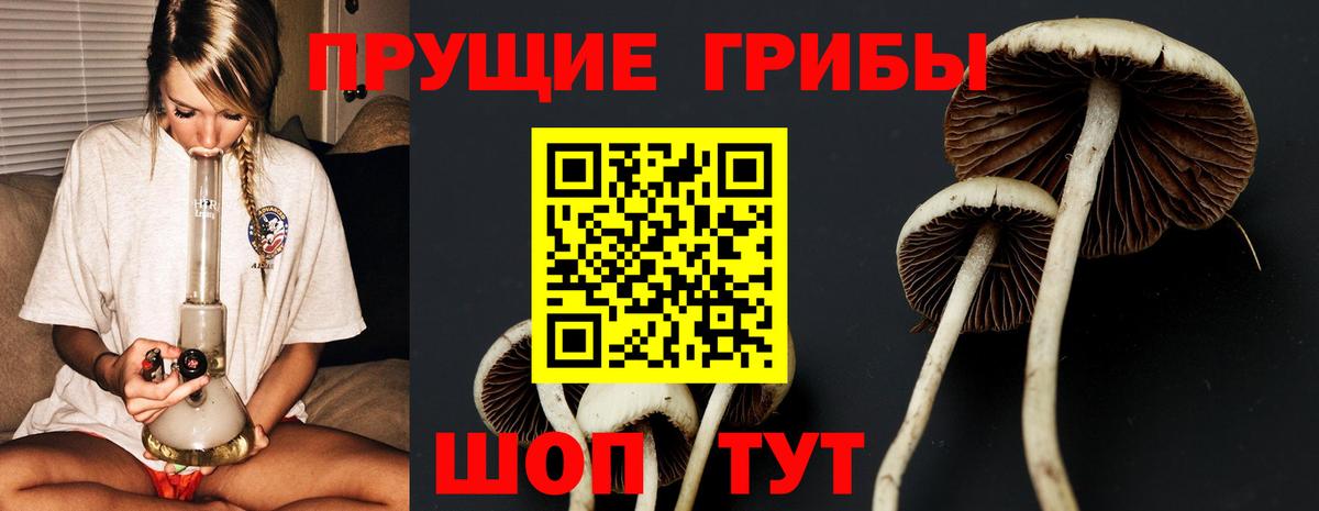 Галлюциногенные грибы Cubensis Каспийск